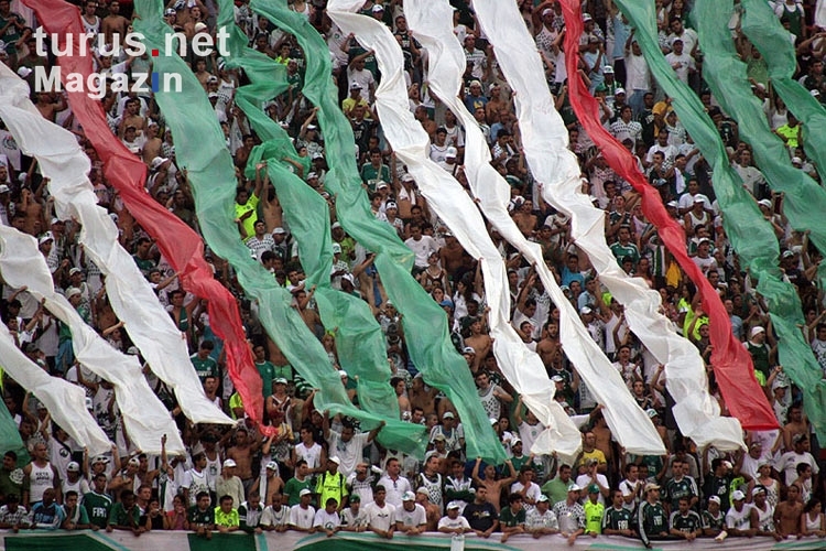 Stimmung bei den Palmeiras-Fans beim Derby gegen den FC São Paulo, (Foto: T. Hänsch www.unveu.de)