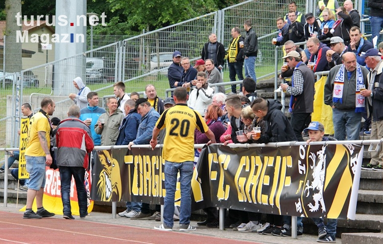 Torgelower FC Greif vs F.C. Hansa Rostock