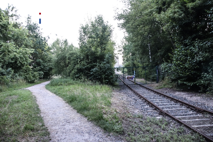 alte Gleise in Wilhelmsruh