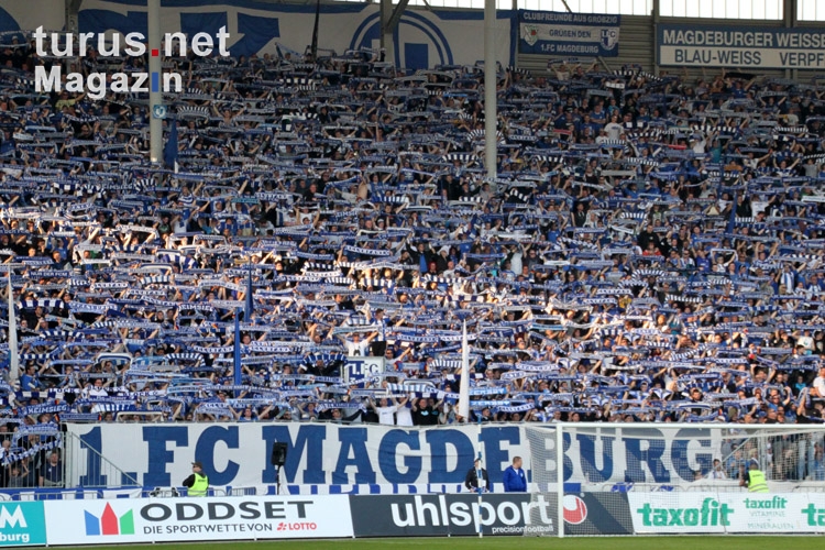 Pokalspiel 1. FC Magdeburg vs. HFC