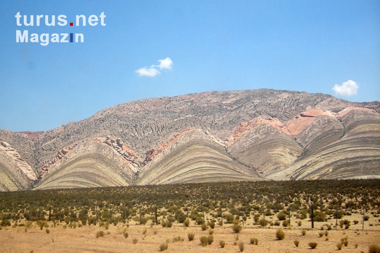 trockene, karge Landschaft von Salta - Villazon in Argentinien