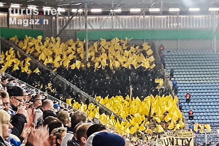1. FC Magdeburg vs. Borussia Dortmund