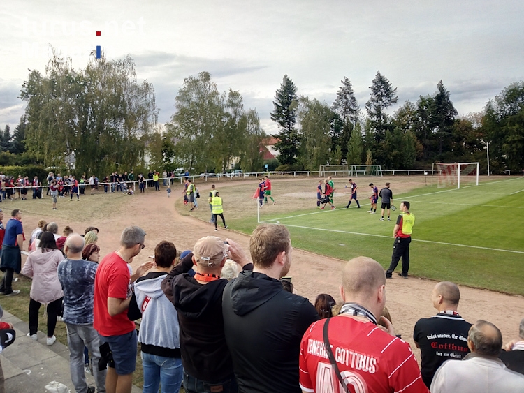 SG Phönix Wildau 95 vs. FC Energie Cottbus