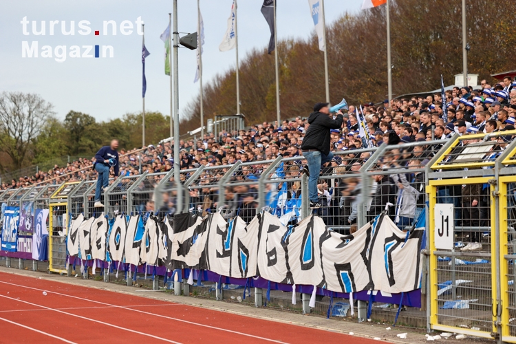 Ultras VfB Oldenburg Support