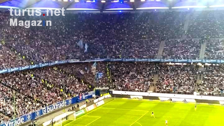Hamburger SV vs. FC Schalke 04
