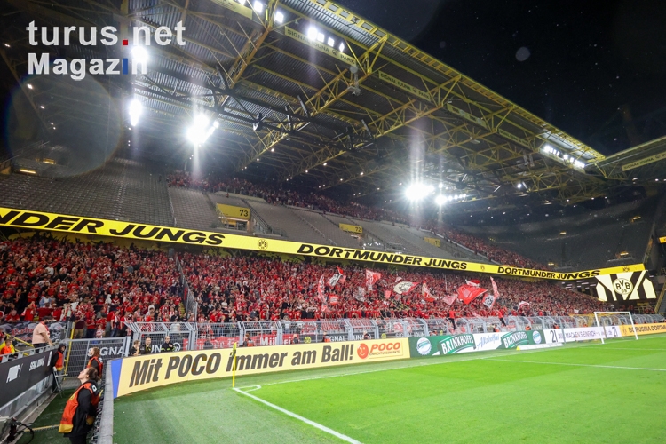 Zuschauerschnitt 3. Liga - Hier Rot-Weiss Essen in Dortmund
