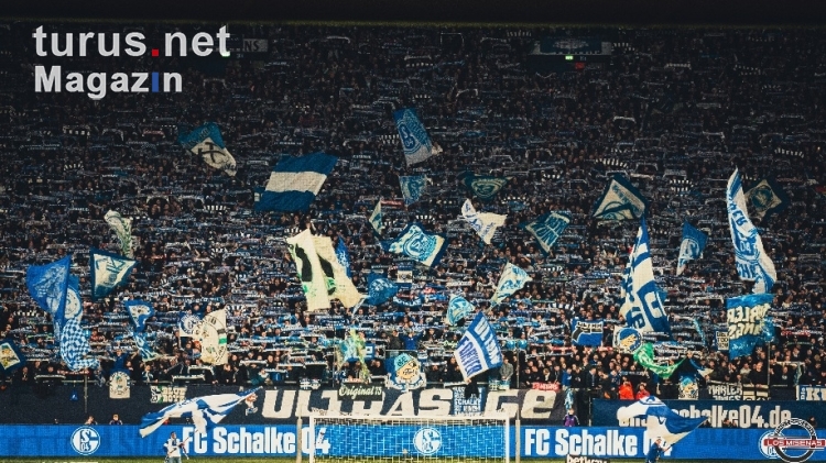 FC Schalke 04 vs. FC St. Pauli 