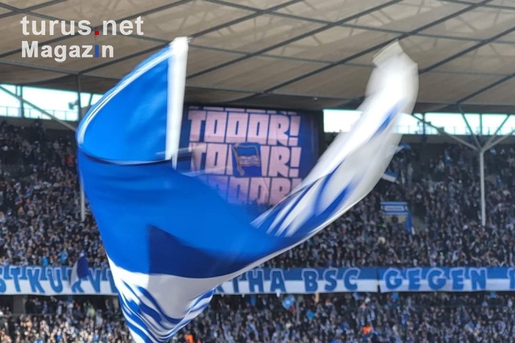 Hertha BSC vs. FC Schalke 04