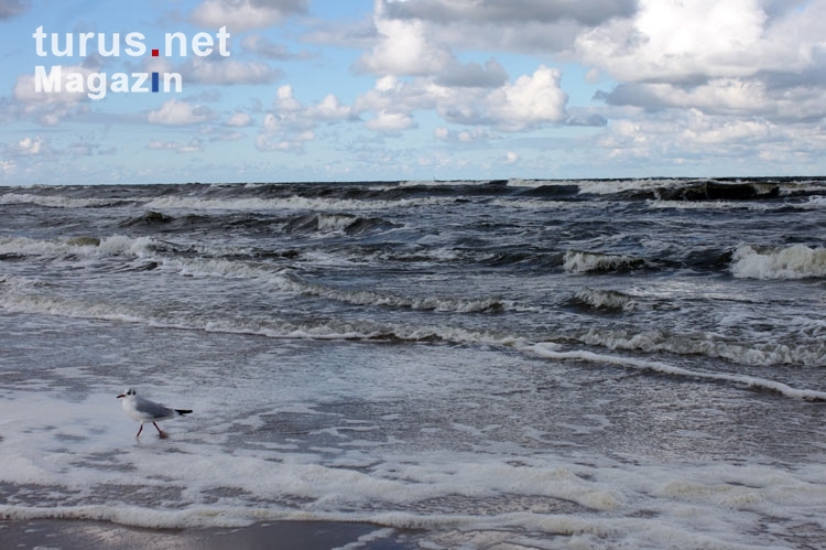 stürmische Ostsee vor der Insel Usedom