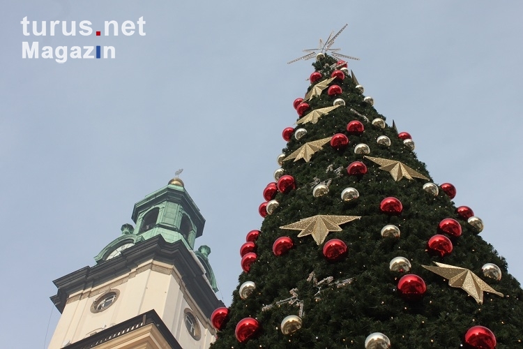 Weihnachtsbaum in Jelenia Gora