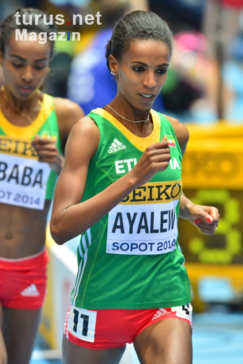 Hiwot Ayalew, Äthiopien, WM Sopot 2014