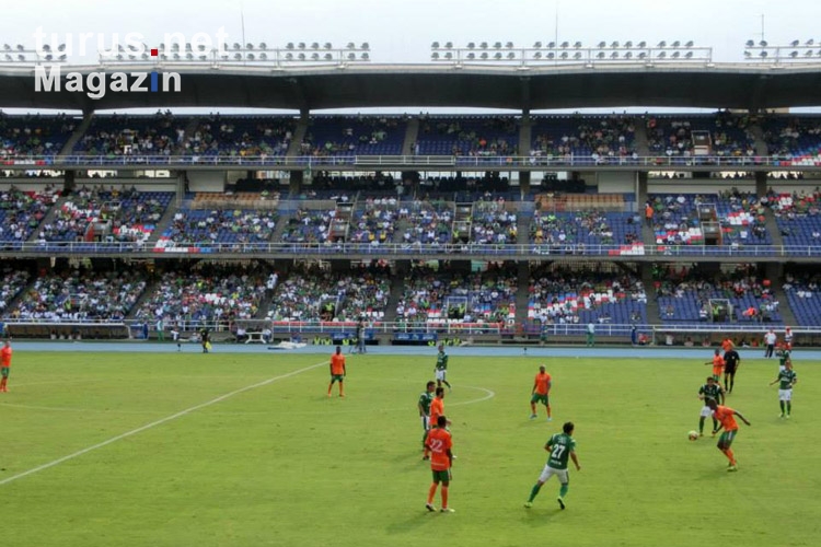 Deportivo Cali vs. Envigado, 10.11.2013