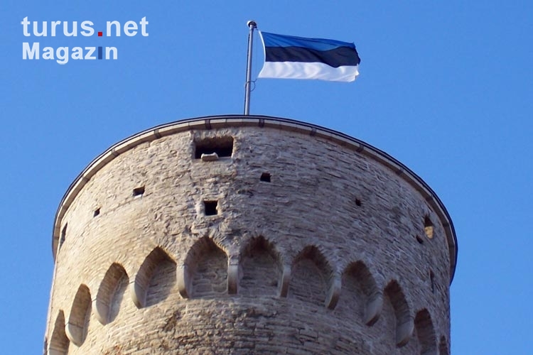 Estnische Flagge auf einem Turm der Stadtmauer von Tallinn