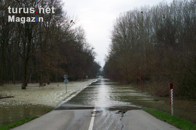 Überfluteter Grenzübergang zwischen Österreich und der Slowakei bei Hohenau 