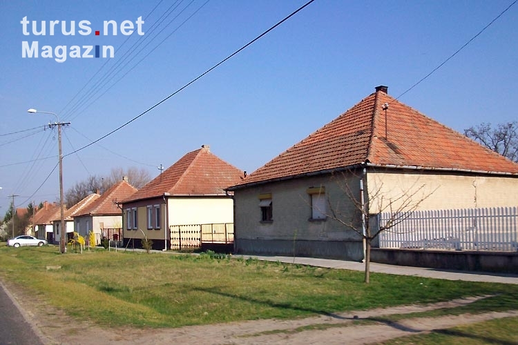 kleine Ortschaft nahe der ungarisch-serbischen Grenze