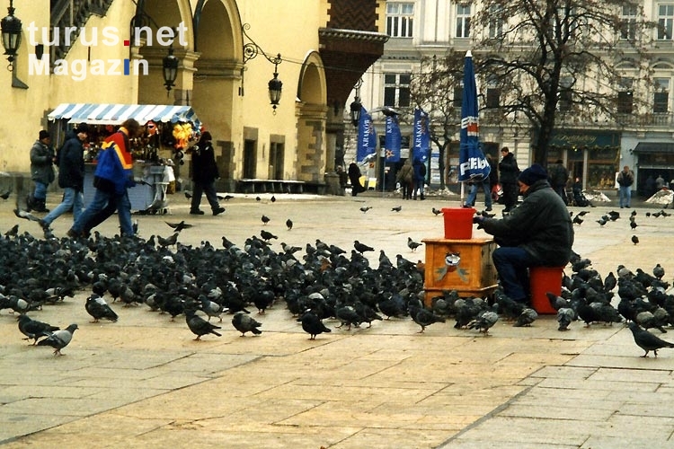 Tauben auf dem Marktplatz von Krakow / Krakau, Winter 2000