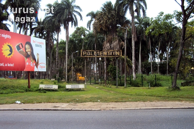 Palmentuin in Paramaribo, Suriname