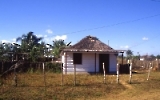 Hütte auf Kuba
