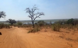 Safari im Chobe Nationalpark
