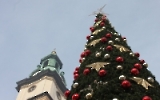 Weihnachtsbaum in Jelenia Gora