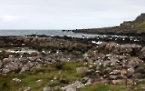 Basaltsäulen am Giants Causeway an der nordirischen Nordküste, Nordirland