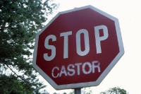 Stop Castor - Protest gegen das Zwischenlager / Endlager Gorleben