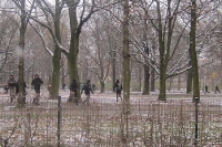 Laufereien im winterlichen Tiergarten ...