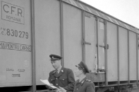 DDR-Zollbeamte vor einem rumänischen Güterwaggon, der Holz beladen hat, 1955