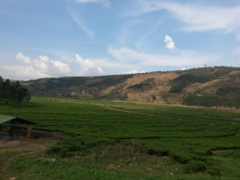 Reise durch durch Ruanda
