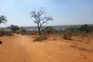 Safari im Chobe Nationalpark