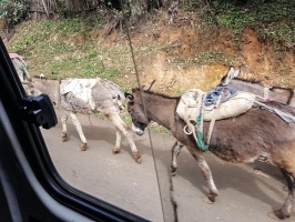 Unterwegs in Äthiopien