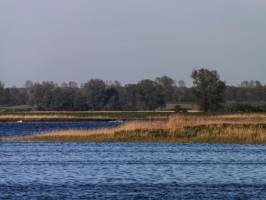 Nationalpark in Vorpommern