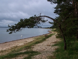 Strand auf der Insel Rügen