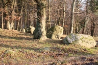 Großsteingrab Sassnitz-Waldhalle auf der Insel Rügen