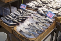 Fische und Meeresfrüchte, Fischmarkt in Athen, Griechenland