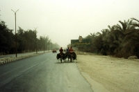 Unterwegs am Nil südlich von Kairo