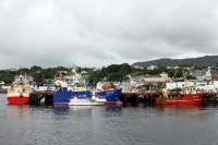 Schiffe im Hafen von Killybegs im County Donegal