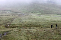 Klettern und Wandern auf dem Mount Errigal im County Donegal 