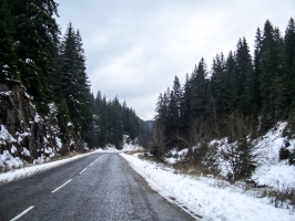 Bergstraße von Borino nach Smoljan