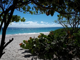 Urlaub auf Barbados