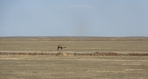 Landschaft in Kasachstan