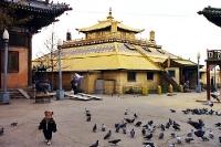 Buddhistisches Gandan Kloster in Ulaan Baatar (Ulan Bator)
