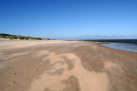 Sandverwehungen am Strand der niederländischen Insel Vlieland