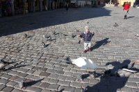 Kleines Bübchen jagt Tauben auf dem Marktplatz in der Altstadt von Poznan (Posen)