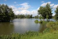 Kleiner See bei Cieplice Slaskie-Zdrój (Warmbrunn)