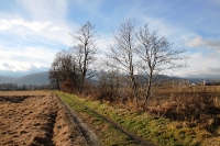 Landschaft bei Cieplice, Jelenia Gora