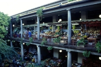 Markthalle in Funchal auf Madeia