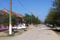 kleines rumänisches Dorf in der Donauregion