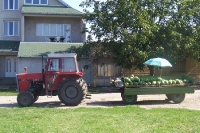 Melonenverkauf vom Traktoranhänger aus in Serbien