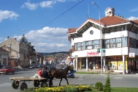 Pferdefuhrwerk in der serbischen Stadt Zajecar